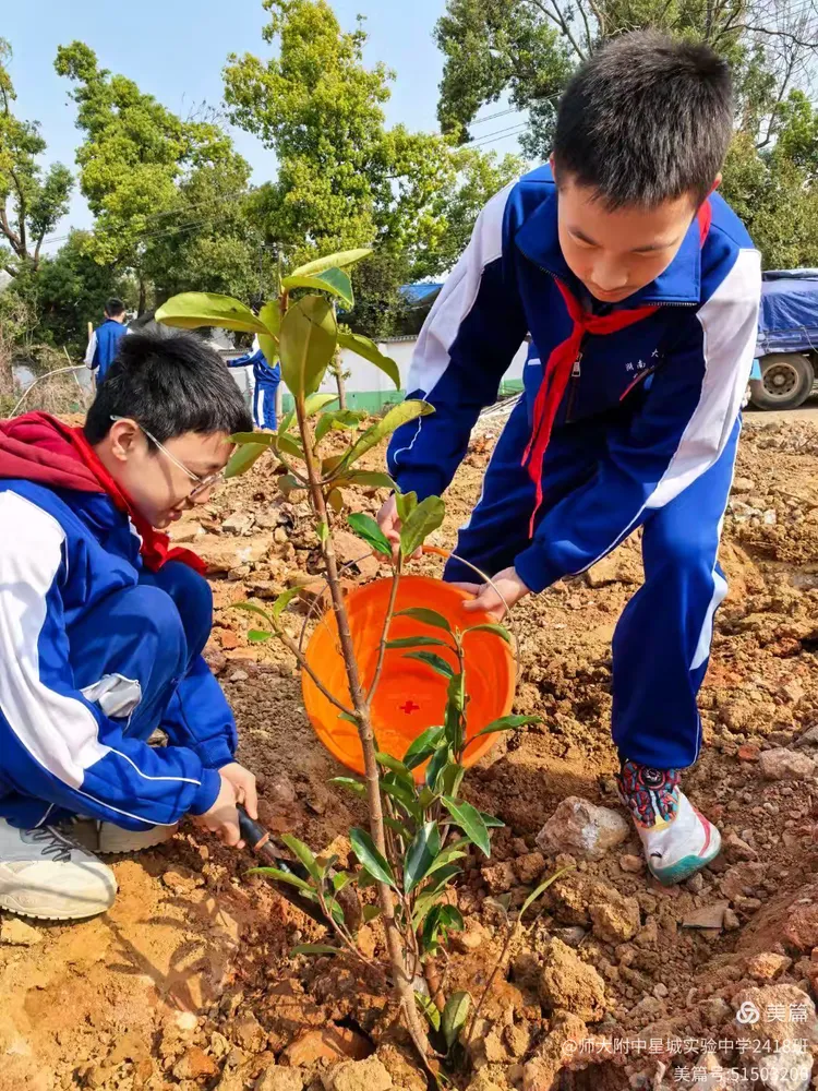 践行雷锋精神,共筑绿色家园